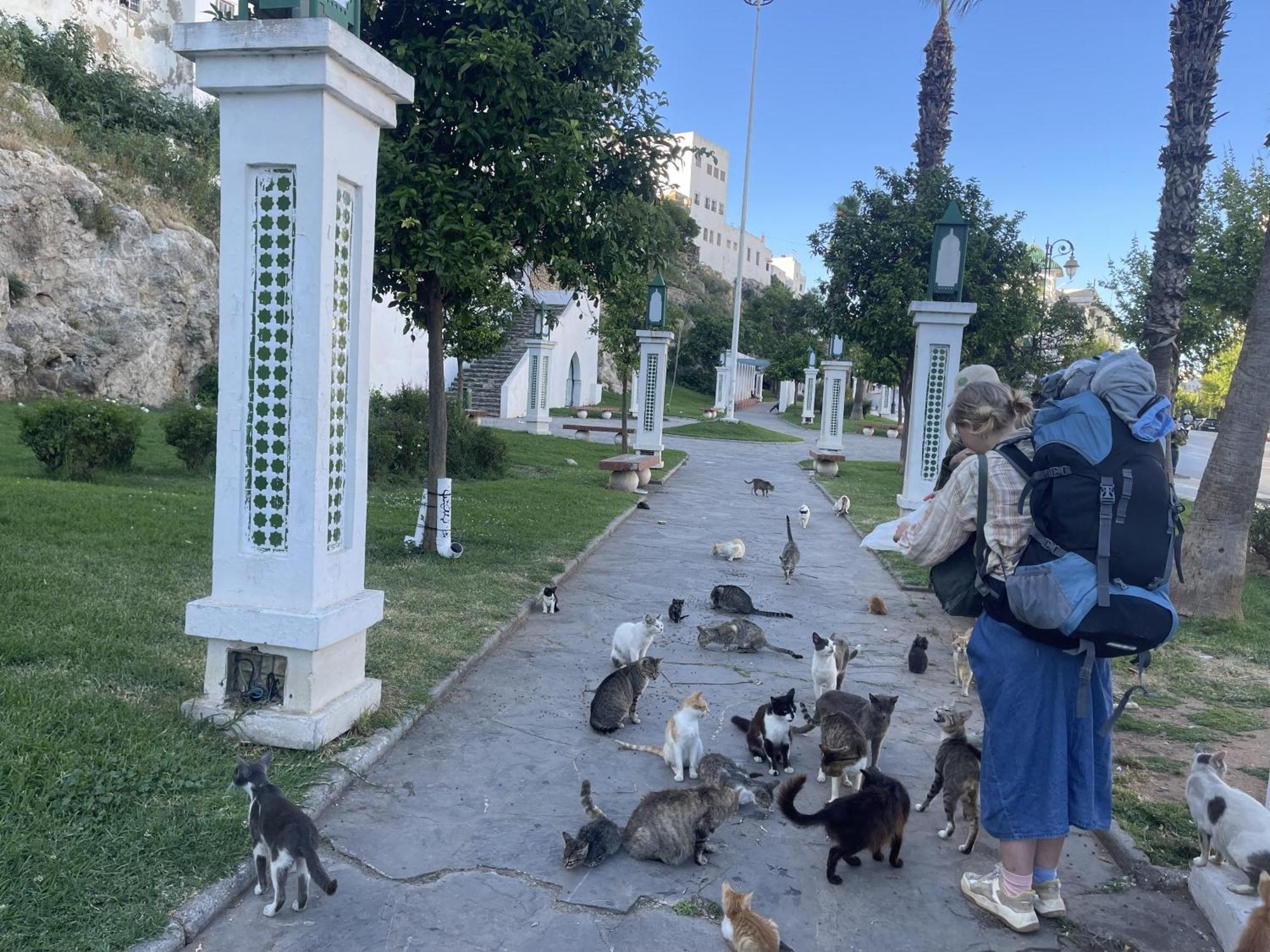 Casa Marwan Hostel Tétouan Buitenkant foto